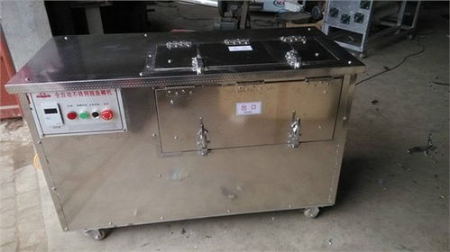 金森機械 專業(yè)供應全自動不銹鋼魚鱗機與多功能食品設備，廠家直銷，品質(zhì)保障